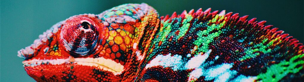 Ascendente-en-geminis