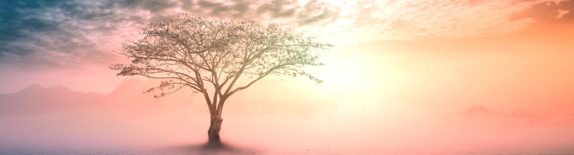 ascendente en piscis