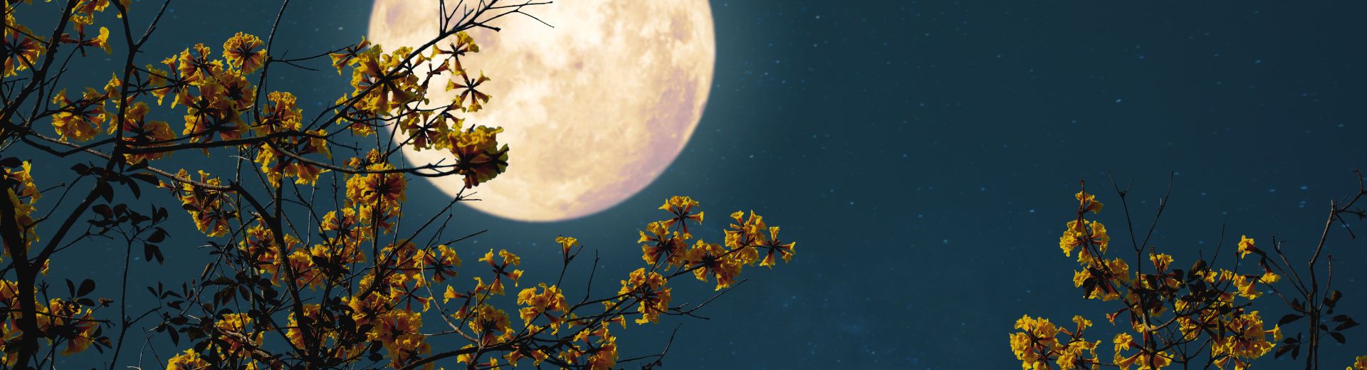 luna-en-astrologia